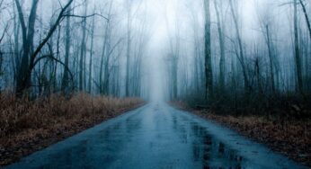 Winter Rain Haiku
