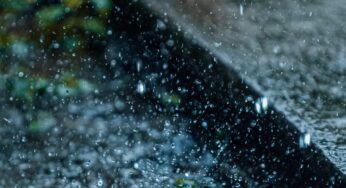 Petrichor